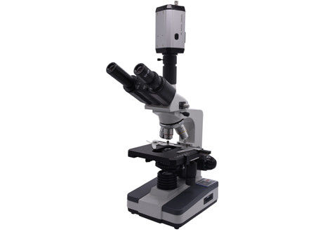 WF10X CCD 40X 0.65 Live Blood Analysis Microscope Digital Video Biological