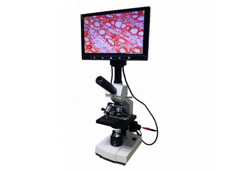 WF10X 2000X Lab Biological Microscope Lcd Digital Microscope Blood Cell Analysis