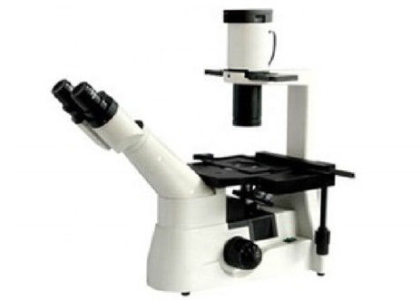 RMS Threaded Inverted Optical Microscope Light WF10X/22mm Living Cell