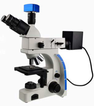 WF10X 20mm Eyepiece Binocular Trinocular Metallurgical Microscope 80X 20X