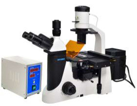 Epi LED Fluorescent Microscope Trinocular 40X 1000X Biology Lab Microscope