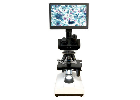 quality  LCD Screen Lab Biological Microscope 10X 40X 6V 20W Monocular Light Microscope factory