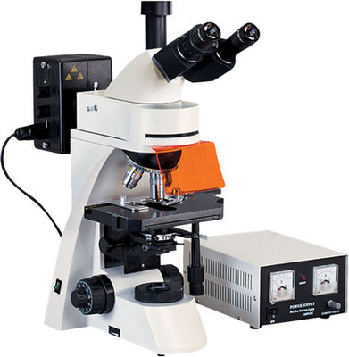 Trinocular Epi Fluorescence Microscope 1600X WF10X 22mm Phase Contrast Microscope