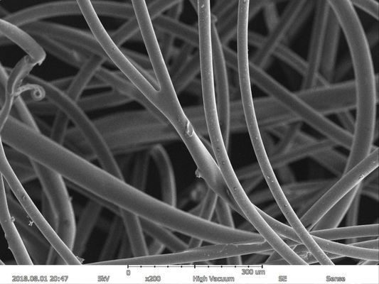 Magnification Max 150000X Scanning Electron Microscope 5nm Resolution EDS BSE