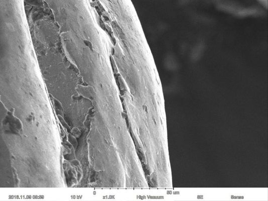 Magnification Max 60000X Scanning Electron Microscope 15nm Resolution Optional EDS