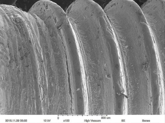 Magnification Max 60000X Scanning Electron Microscope 15nm Resolution Optional EDS