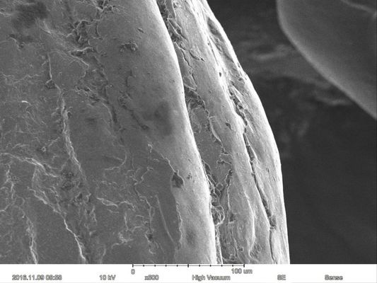 Magnification Max 60000X Scanning Electron Microscope 15nm Resolution Optional EDS