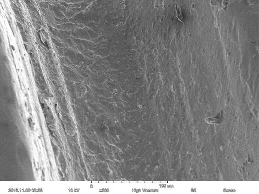 Magnification Max 60000X Scanning Electron Microscope 15nm Resolution Optional EDS