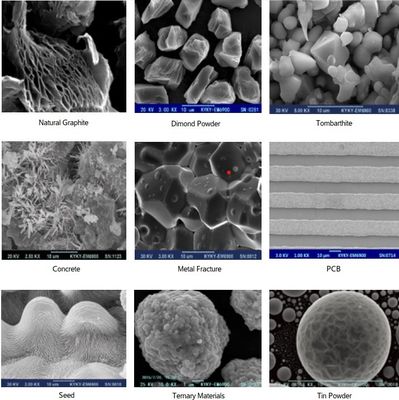 8X-300,000X Scanning Electron Microscope 3-6nm Resolution EBSD EBSD