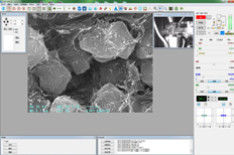 8X-300,000X Scanning Electron Microscope 3-6nm Resolution EBSD EBSD