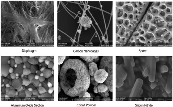 Magnification 6X-1000000X Scanning Electron Microscope 1-3nm Resolution