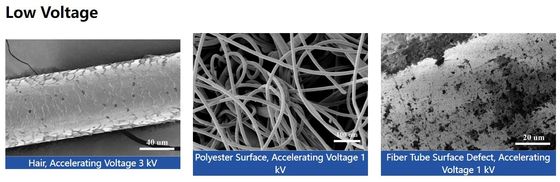 BSE EDS Tabletop Scanning Electron Microscope 1X-300000X 3nm Resolution