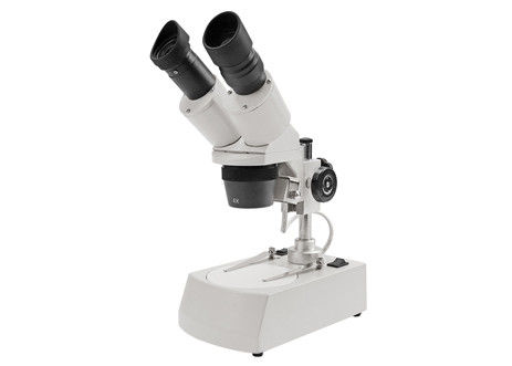 20X 4X 20mm Stereoscopic Binocular Microscope Halogen Lamp Stereo Light Microscope