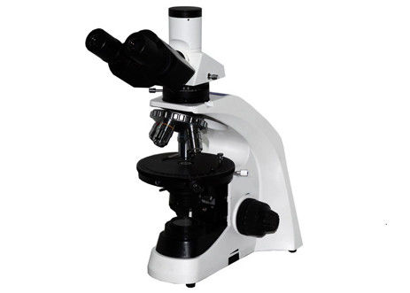 Trinocular Educational Microscope Kit WF10X/20mm Student Microscope With Mechanical Stage