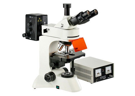 Camera Infinity Epi Led Fluorescent Microscope WF10X Eyepiece Genetics Research
