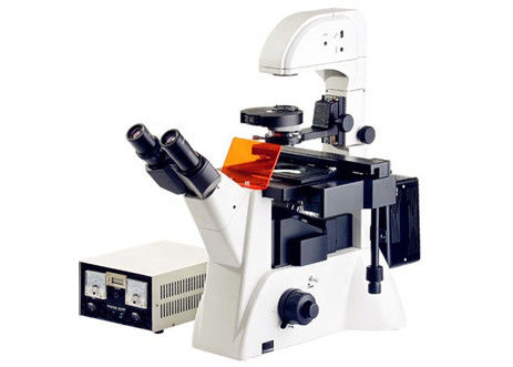 Inverted Fluorescence Biology Lab Microscope Edu Science Microscope 1200x 20X
