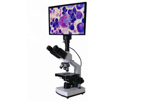 LCD Microscopy Biology Discussion WF10X 400X Bright Field Microscope Biology Discussion