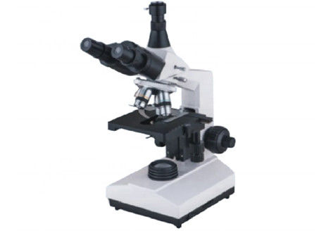 Trinocular WF10X 1600X Inverted Biological Microscope Compound Halogen Lamp 6V 20W