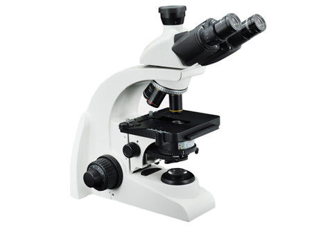 Educational Portable Microscope 1000x WF10X Trinocular Biological Microscope