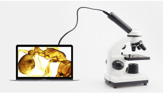 Monocular Drawtube Student Biological Microscope 640X ODM
