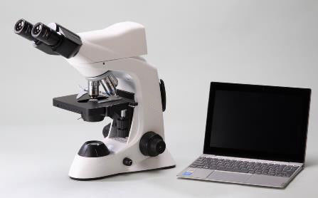 4 Position 40X Lab Biological Microscope With Mechanical Stage