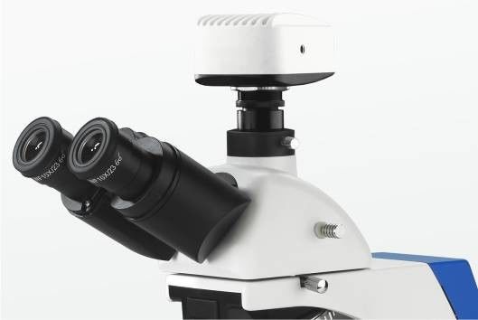 Integrated Dark Field Polarizing Lab Biological Microscope 4 Position