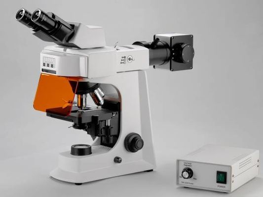 White Trinocular Lab Biological Microscope With Mechanical Stage