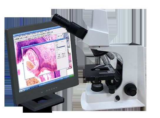 White Trinocular Lab Biological Microscope With Mechanical Stage