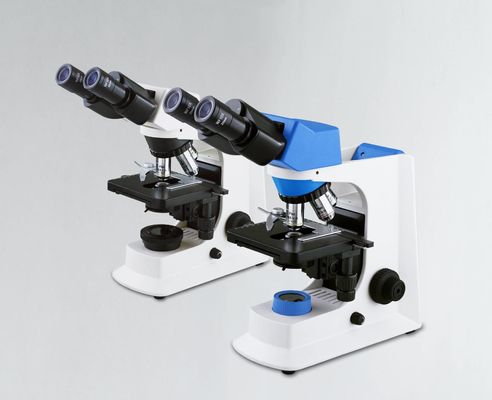 White Trinocular Lab Biological Microscope With Mechanical Stage