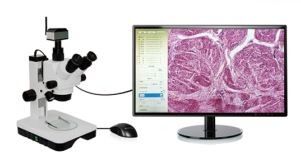 60FPS WiFi transfer Microscope Digital Camera 4 Groups Crosshair Display
