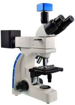 WF10X 20mm Eyepiece Binocular Trinocular Metallurgical Microscope 80X 20X