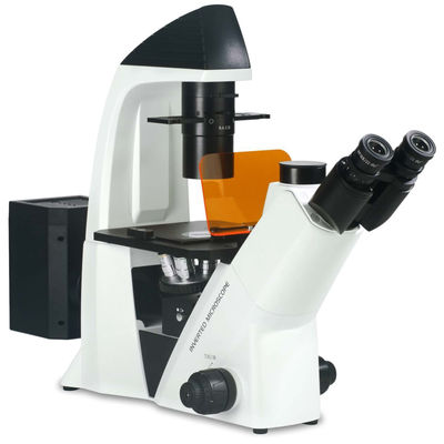 40X-400X Inverted Optical Microscope WF10X 22mm For Cell Observation And Cultivation