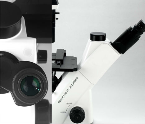 40X-400X Inverted Optical Microscope WF10X 22mm For Cell Observation And Cultivation